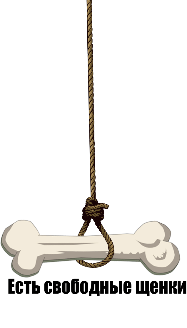 Косточка на верёвке